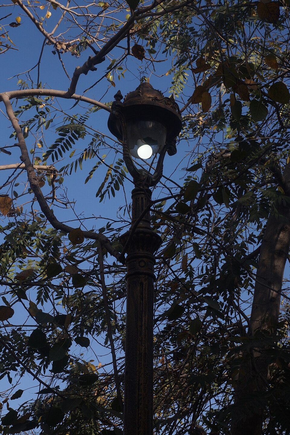 Apex Floor Lamp 00167